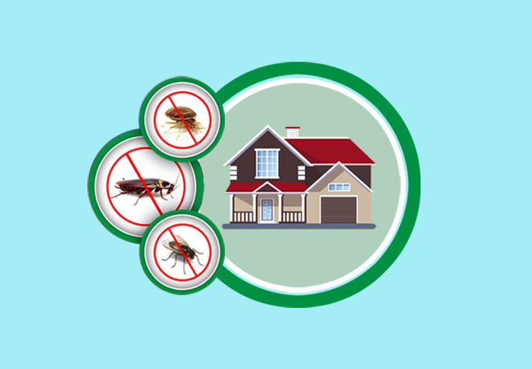 Residential pest control services Navi Mumbai